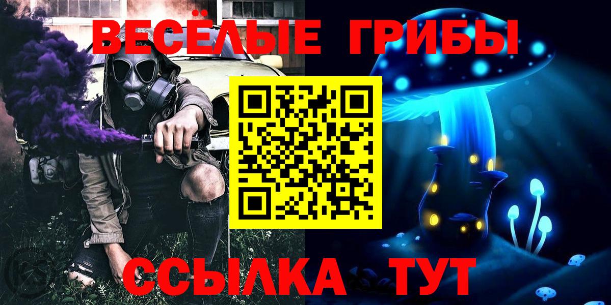 Городец  дарнет шоп  Вход с VPN  Галлюциногенные грибы GOLDEN TEACHER 